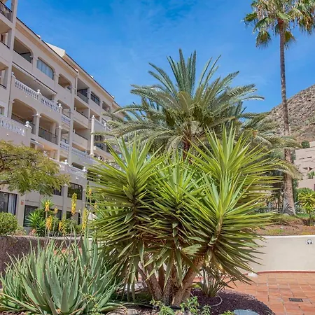 Daire Cristianos Castle Harbour 451 Los Cristianos (Tenerife)